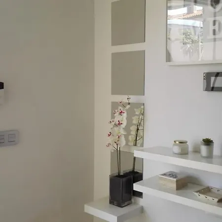 Doree 222 Miami Playa